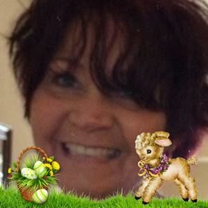 Meet your Posher, Stevie